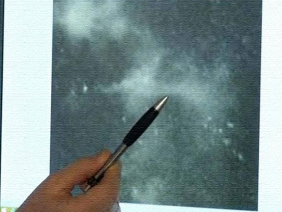 الكشف عن صور تعيد البحث عن الماليزية الى المربع الاول صورة رقم 4