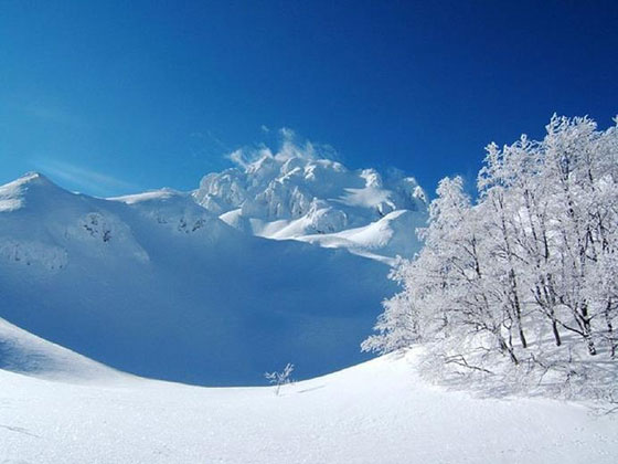 سر نهاية العالم: حرب نووية؟ وباء؟ تصادم كواكب؟ غزو كائنات فضائية؟ صورة رقم 3