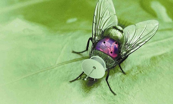 جندي المستقبل سيبدو مثل مدرّعة تكنولوجية لا يخترقها الرصاص صورة رقم 8