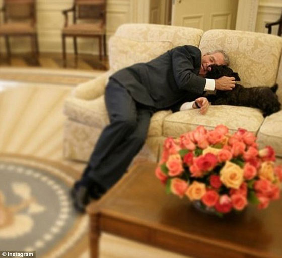 الحزن يخيم على عائلة بوش بعد وفاة كلبتها الحبيبة صورة رقم 3