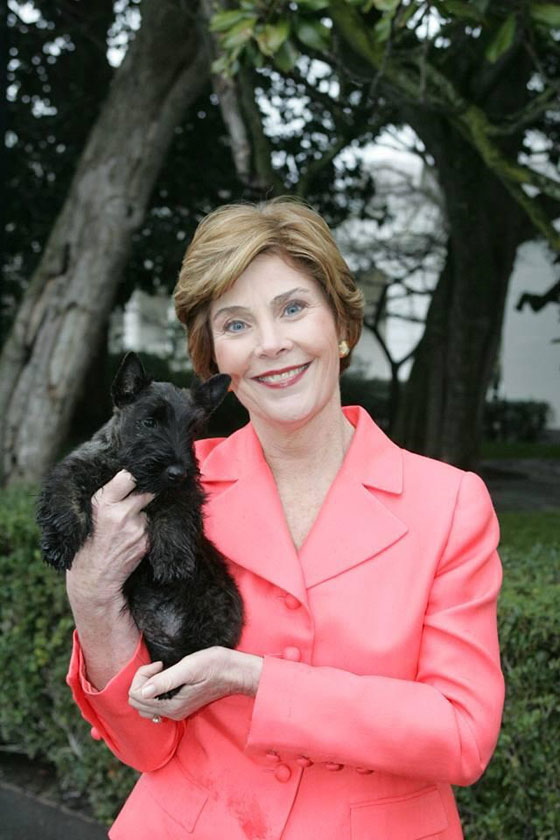 الحزن يخيم على عائلة بوش بعد وفاة كلبتها الحبيبة صورة رقم 4