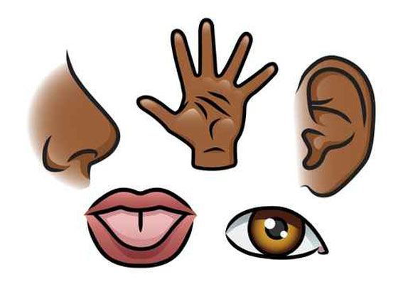 صحح معلوماتك.. 8 حقائق توارثناها يتضح اليوم انها خاطئة! صورة رقم 6