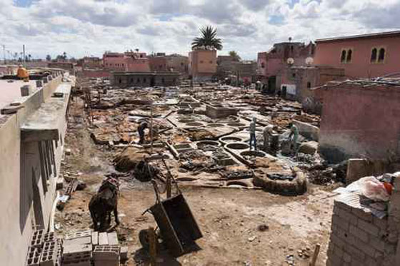 صحح معلوماتك.. 8 حقائق توارثناها يتضح اليوم انها خاطئة! صورة رقم 4