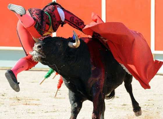 صحح معلوماتك.. 8 حقائق توارثناها يتضح اليوم انها خاطئة! صورة رقم 2