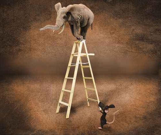 صحح معلوماتك.. 8 حقائق توارثناها يتضح اليوم انها خاطئة! صورة رقم 5