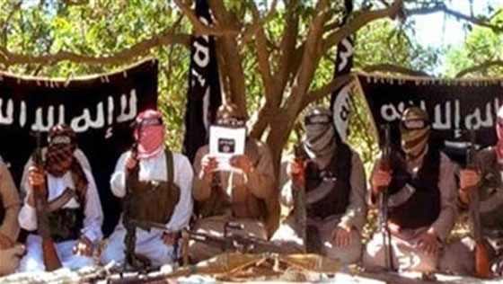 انصار بيت المقدس يتوعدون السيسي: تصبحون على فاجعة صورة رقم 2