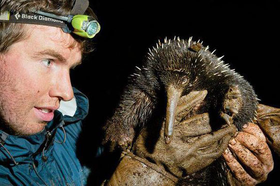 تعرف على اكثر المأكولات غرابة واثارة للجدل والغثيان في العالم صورة رقم 5