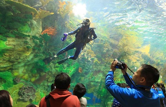 شاهد بالصور.. اكبر متحف مائي في العالم افتتح بالصين صورة رقم 9