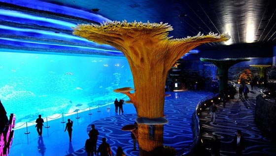 شاهد بالصور.. اكبر متحف مائي في العالم افتتح بالصين صورة رقم 11