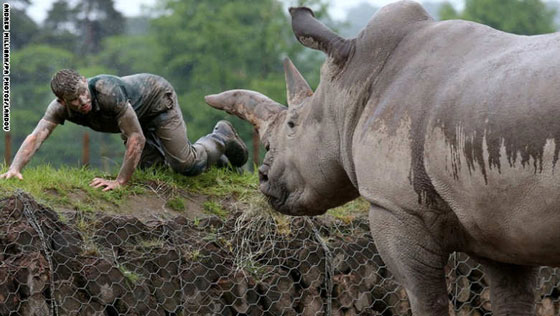 بالصور.. اسبوع يتوهج في الولايات المتحدة وفلسطين والهند وانحاء مختلفة من العالم  صورة رقم 14