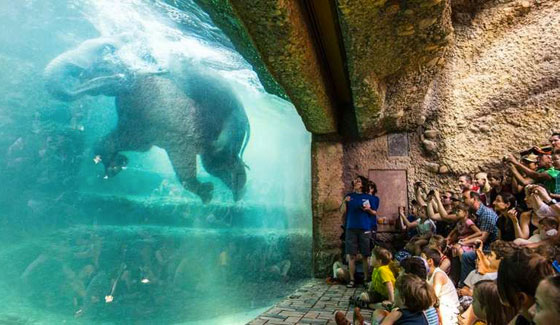 اغنوا اعينكم بافضل صور الاسبوع الفائت.. بوش في التسعين وملكة جمال صورة رقم 13