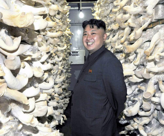 بالصور.. تعرف على الجانب الآخر من حياة زعيم كوريا الشمالية صورة رقم 18