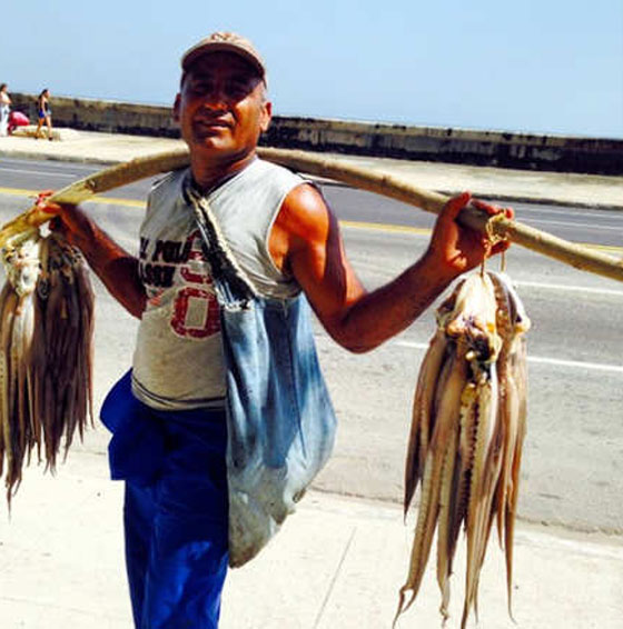 صور التقطتها عدسات الصحفيين لا ترونها في نشرات الاخبار صورة رقم 1