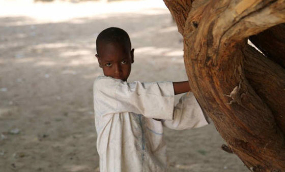 صور التقطتها عدسات الصحفيين لا ترونها في نشرات الاخبار صورة رقم 10