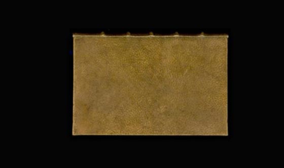 مروِّع.. كتب تغلفها الجلود البشرية!! صورة رقم 3