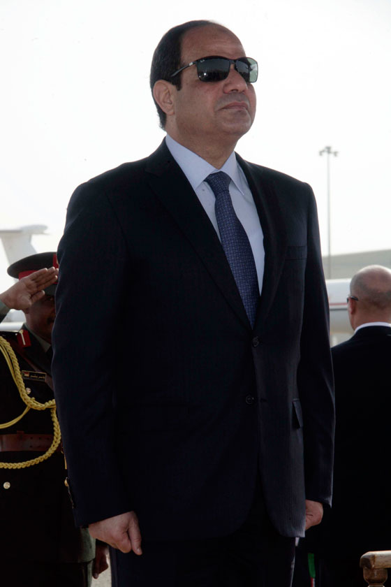 نائب امريكي: مرسي خطط لاغتيال السيسي  صورة رقم 4