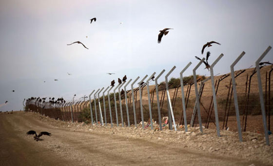 اسرائيل تقيم جدارا امنيا على حدودها مع الاردن تحسبا لخطر داعش!! صورة رقم 2