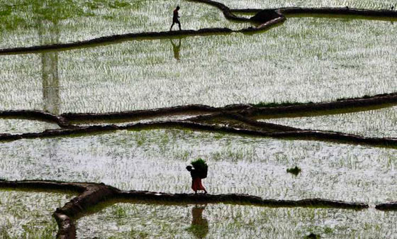 صور تروي قصة اسبوع من الأحداث حول العالم صورة رقم 2