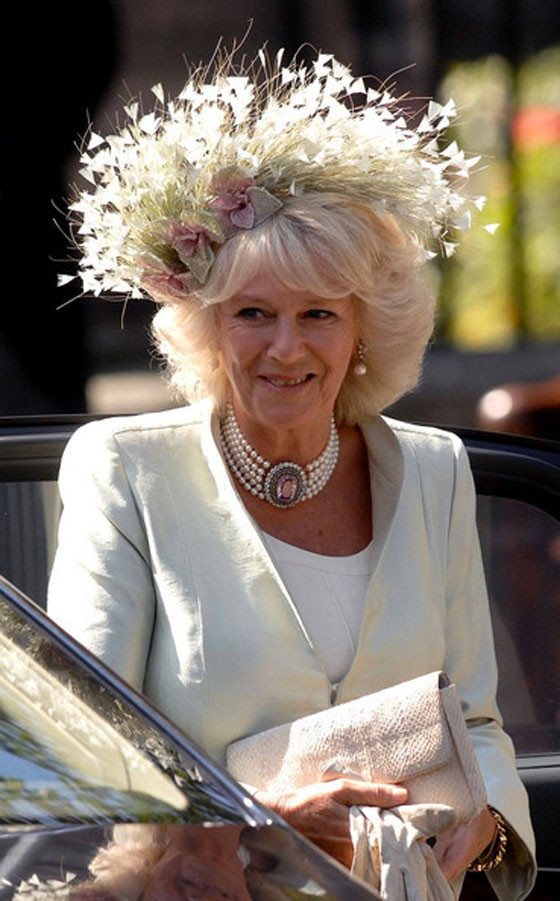 طلاق كاميلا والامير تشارلز.. 350 مليون دولار مقابل التكتم على اسرار العائلة صورة رقم 12