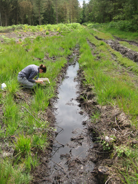 60% من الطلاب في بلجيكا يعتقدون ان البعوض ينقل الايدز! صورة رقم 1