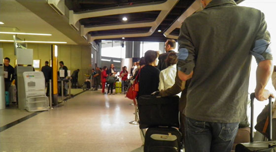 قرد يرفض التخلي عن دميته القطنية لفحصها في المطار صورة رقم 2