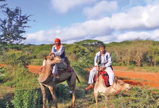 ابن بطوطة اليمني ينشر السلام في العالم.. ممتطيا سنام سفينة الصحراء  صورة رقم 1