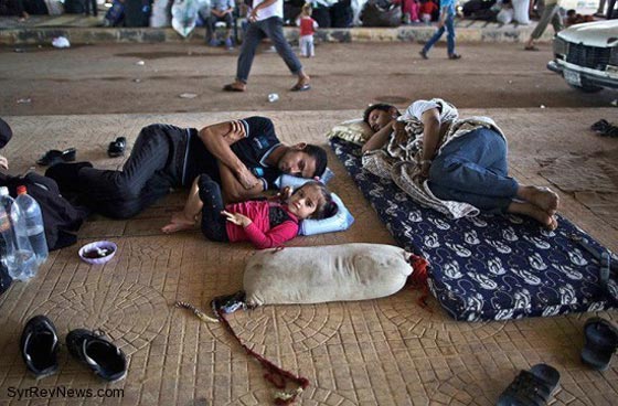 41% من الشباب والفتيات السوريين النازحين للبنان فكروا بالانتحار  صورة رقم 8