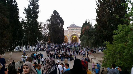 القدس: عيد بلون الدخان في غزة صورة رقم 6