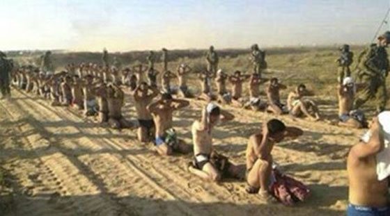 صور صادمة.. اسرائيل تعايد الفلسطينيين بفوهات البنادق صورة رقم 2