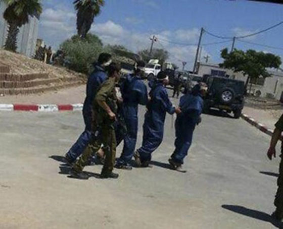 صور صادمة.. اسرائيل تعايد الفلسطينيين بفوهات البنادق صورة رقم 4