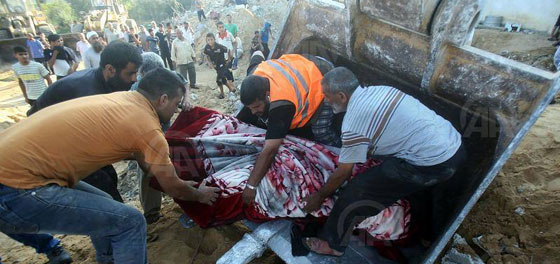 اسرائيل لحماس.. لماذا صوبتم صاروخكم الى بومة؟ صورة رقم 2