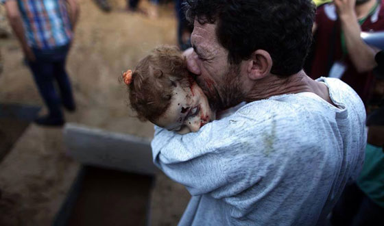 اسرائيل لحماس.. لماذا صوبتم صاروخكم الى بومة؟ صورة رقم 3