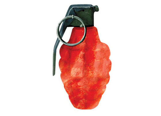 بهذه الوسائل الغريبة ايضا.. يكافحون الشغب ويفرقون المظاهرات صورة رقم 8