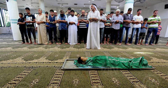 مؤثر.. الطفل الشهيد احمد القايض يقتل فؤاد امه مرتين صورة رقم 5