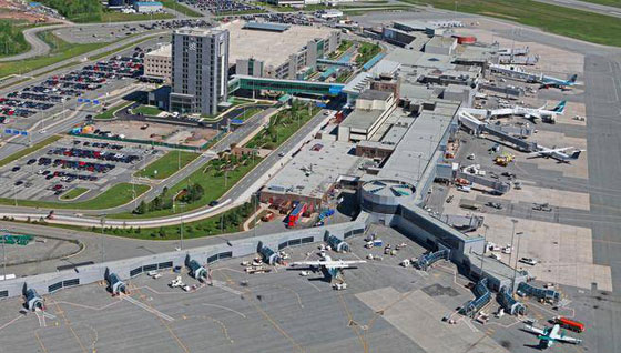 امرأة تتسلق الجدار الامني للمطار لمنع طائرة تقل زوجها من الاقلاع صورة رقم 1