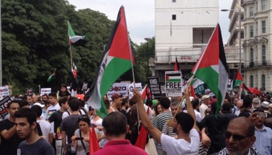 متضامنون مع غزة يدمرون متجرا يبيع منتجات اسرائيلية في بريطانيا  صورة رقم 5