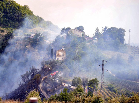 صور في الجو.. اصطدام مرعب بين طائرتين مقاتلتين  صورة رقم 4