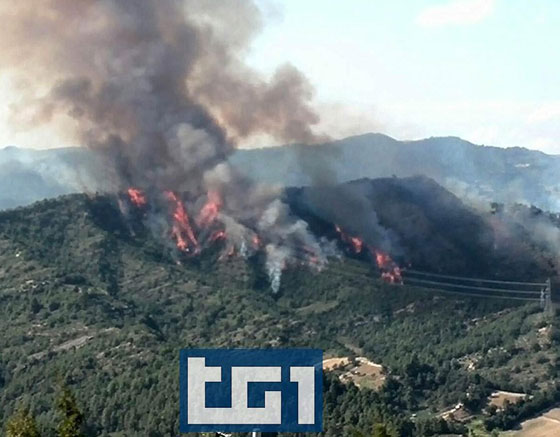 صور في الجو.. اصطدام مرعب بين طائرتين مقاتلتين  صورة رقم 3