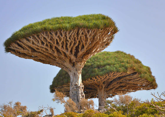 بالصور.. شاهد كيف يتبدى الكوكب الارضي بأروع حالاته في ظل ظواهر مدهشة صورة رقم 2