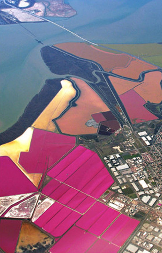 بالصور.. شاهد كيف يتبدى الكوكب الارضي بأروع حالاته في ظل ظواهر مدهشة صورة رقم 9