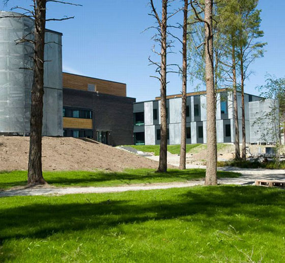 لماذا يقيمون في النرويج سجنا.. هو الاكثر رفاهية في العالم؟ صورة رقم 26