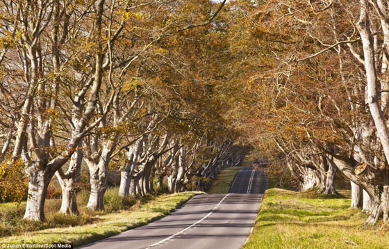 صور جمال الطبيعة الرائعة الخلابة في بريطانيا صورة رقم 7