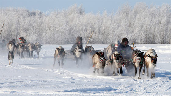 الاسكيمو القدماء انقرضوا قبل نحو 700 سنة صورة رقم 1