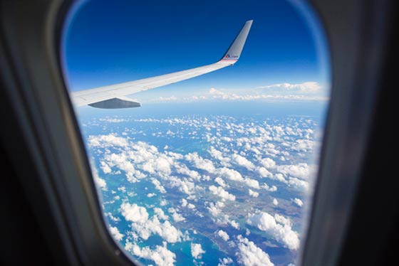 كالثور الهائج.. مستقل طائرة يكسر زجاجها خلال تحليقها في الاعالي صورة رقم 1