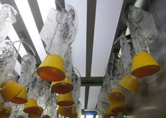 10 حقائق واساطير قد تبدو مضحكة من وحي طائرات الركاب صورة رقم 3