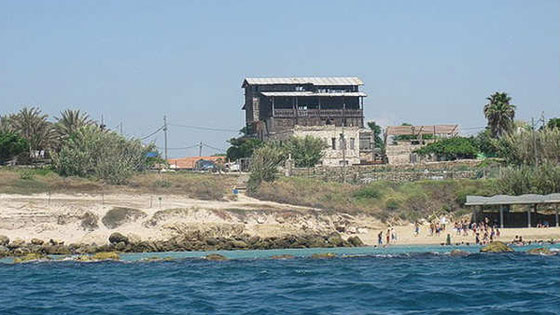 هل انت غاضب من نظام الحكم في بلدك؟ اصنع دولتك بنفسك! صورة رقم 3