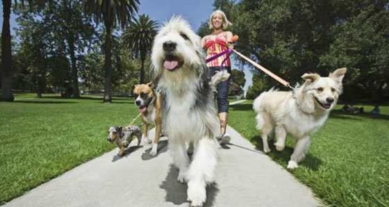 رواتب مذهلة تصل الى مئات آلاف الدولارات لأعمال ووظائف تبدو غير هامة!   صورة رقم 4