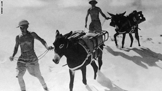 صور لا تنسى من الحرب العالمية الثانية.. في ذكراها  الـ 75 صورة رقم 1