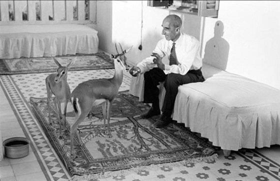 زيارة ولي العهد السعودي لفرنسا تفتح البوم صور ملوك السعودية للجمهور الواسع صورة رقم 5