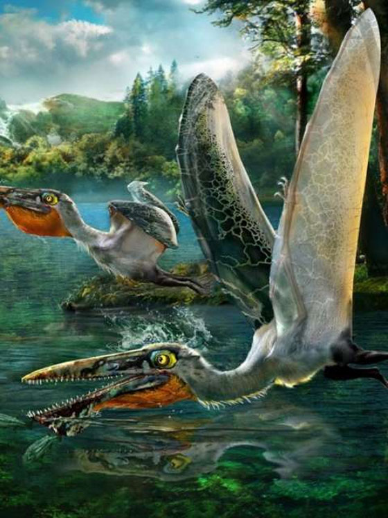  علماء يكتشفون انواعا من الزواحف الطائرة المندثرة تشبه أفاتار صورة رقم 3